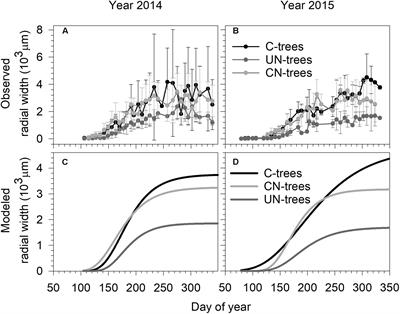 Intra-annual Dynamics of Xylem Formation in <mark class="highlighted">Liquidambar</mark> formosana Subjected to Canopy and Understory N Addition